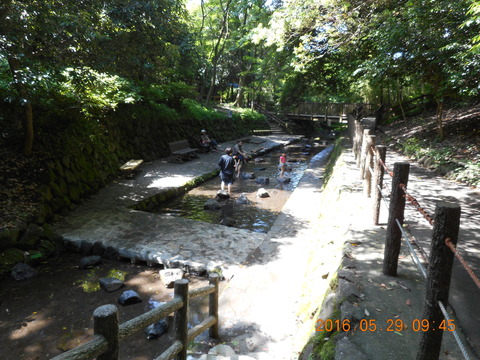 DSCN1224