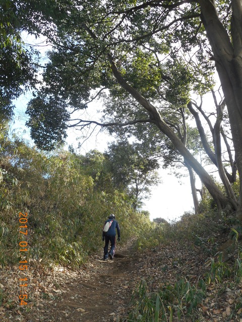 15早野から寺家 050