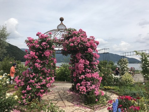 F7711D17-7135-4E8C-99F3-AA8CA3327BAE