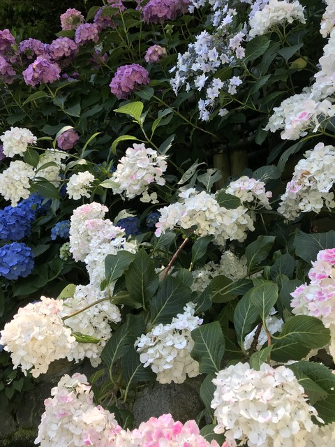 A66BA7EA-A4B0-4DD1-824B-C165B002F120