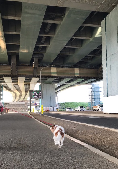 F05A5555-AC5C-4169-92B0-36ACCEFA8B37