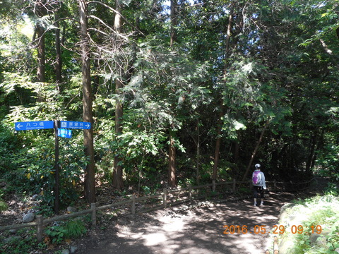 DSCN1202