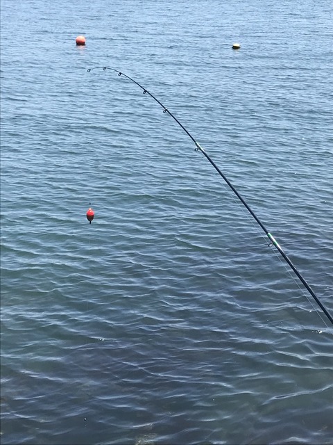 26B5EC76-73F0-494E-8277-4AD91808B3E2