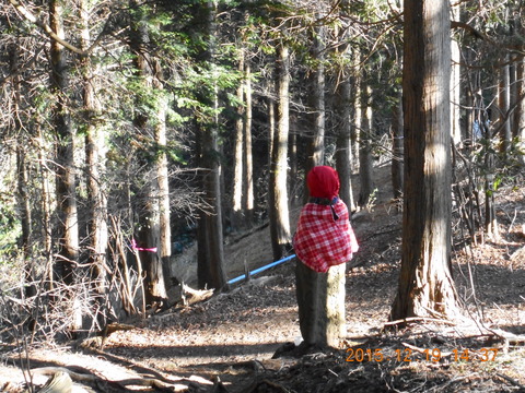 DSCN0363大山見晴台九十九曲上