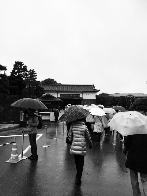 70D69691-1B27-44CC-B774-FB7D85A78376