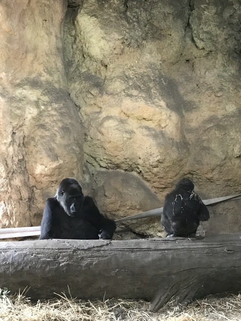 0C791D62-68AA-466F-9FF7-01205360BCDC