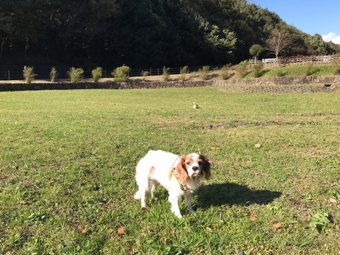 C33D08C2-6874-402E-BFA5-5FE3B3057DCC