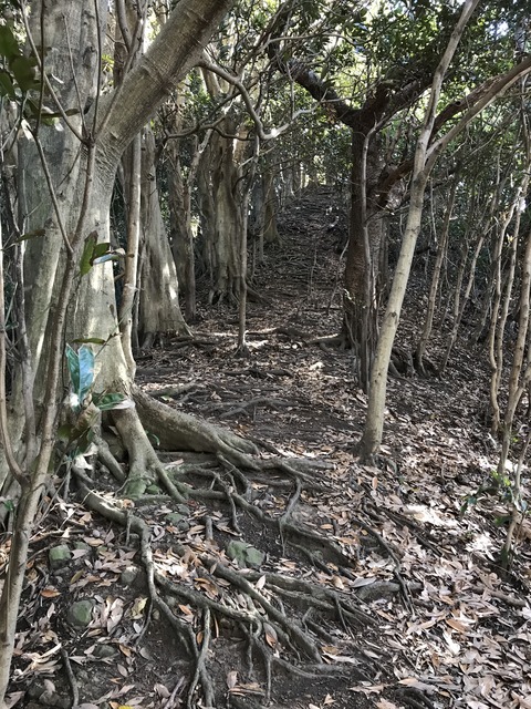 C1593DAE-F4CF-40DC-8E9B-1438D14B6392