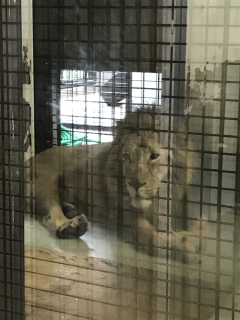 E3ED9CB0-B21B-499F-9825-53399F2CFDF2