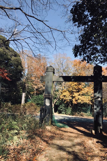 DD47ED8B-1E6D-4B6E-8834-1DD5C3A3A747