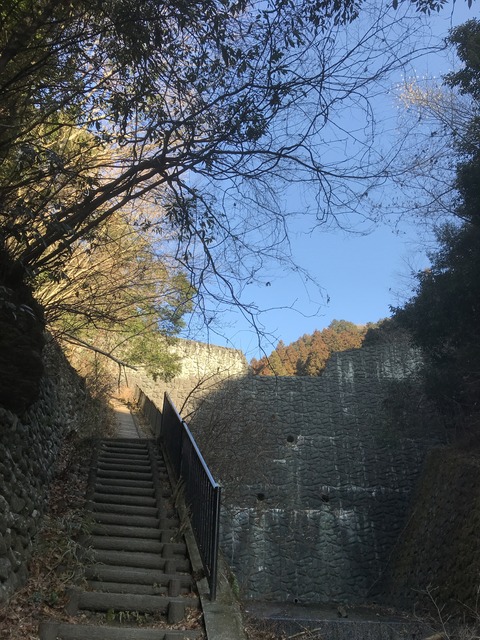 D00467E3-3316-4155-B9AA-665D7A7768D5