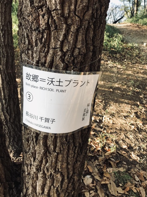 71D7C7F1-EAE1-4C75-9B30-806B3722585F