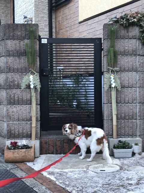 489A5CB2-1527-4E77-887B-BACBA7A671D9