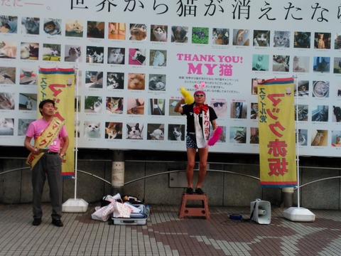 IMG_20160523_181221_1