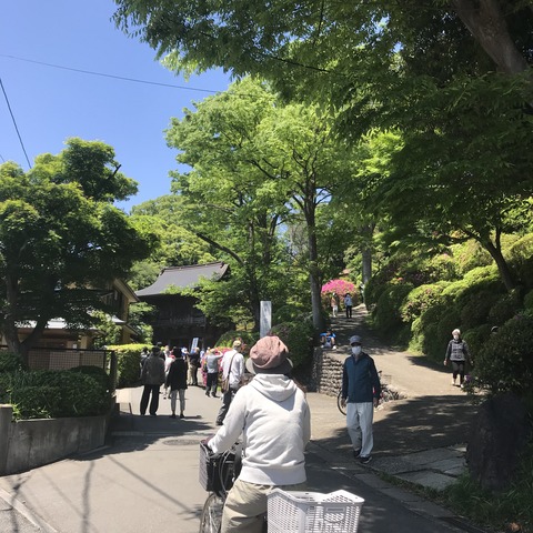 BCB5EAAA-71DE-4D58-B25C-CDEDC5D18ADB