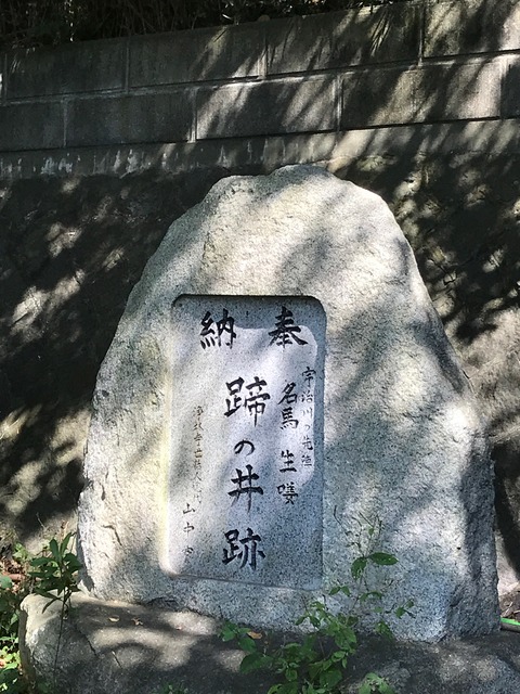 C5B4E6E4-FBF3-4E80-A7BC-8AC911B67458