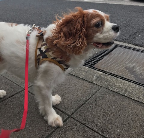 E6B7CAC6-07AA-4203-8971-0F971F7AEFC4