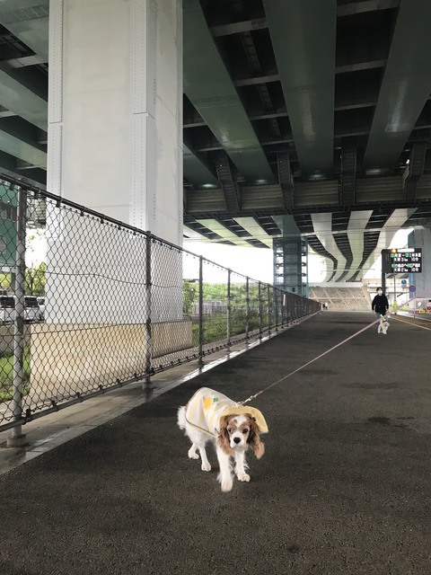 4029206C-0825-4DDE-AD27-8D51931AABAA