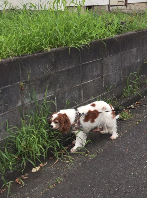 F0D2A346-24B6-42C2-B65A-3A66D25E5E2D