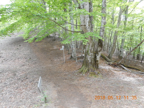 DSCN2874