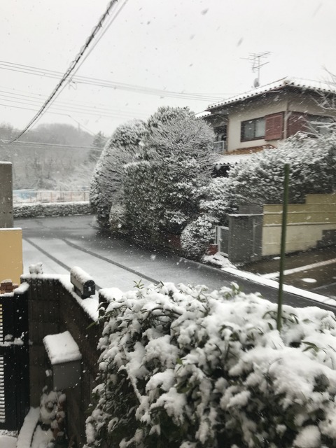 12C6B3A5-F5BB-4A29-9532-210F7515549A