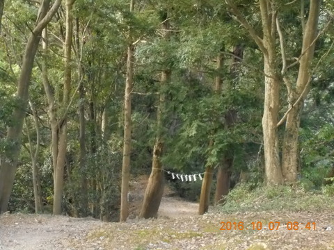 画像101奥高尾 022