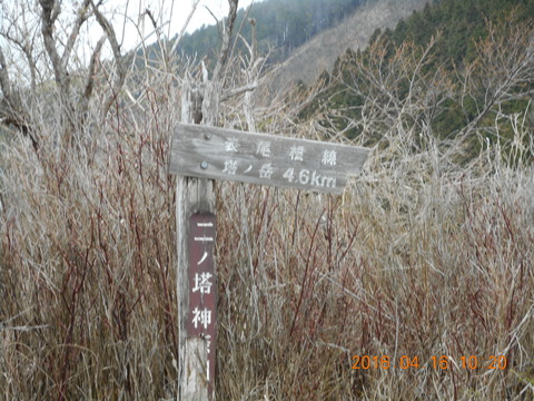 DSCN0962