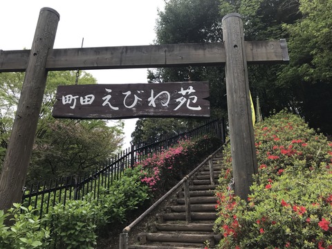 6125C5E7-3DE8-4E30-8A2C-5BC009F5DD72