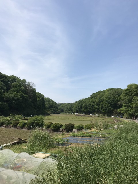 5A4524D2-0DE1-49DA-9B90-40C651DE1B23