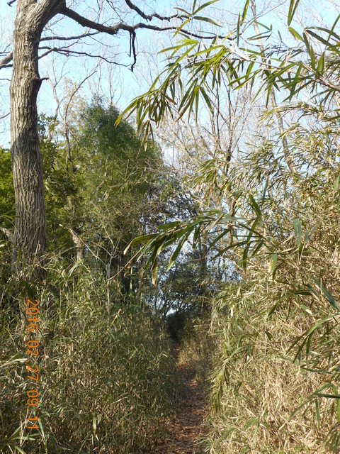 DSCN0763