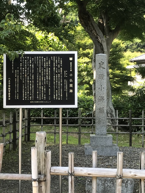 232D8516-9A8F-4F4A-8364-97C7C68CD915