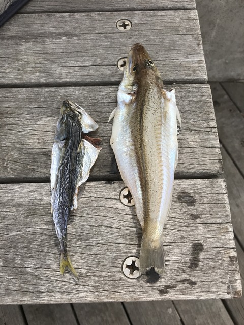 5E779133-6FF2-44BE-8771-20DFEE6BFA6A