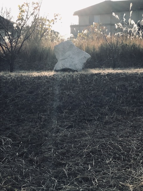 41CF572E-E908-4825-9EB1-64A1378465F4