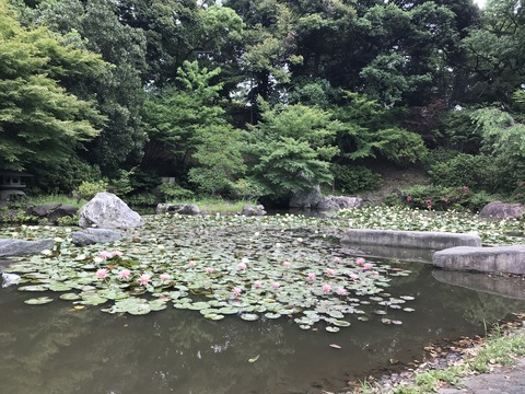 986B7A96-2F3A-4CB5-85FB-A3B9998A6094