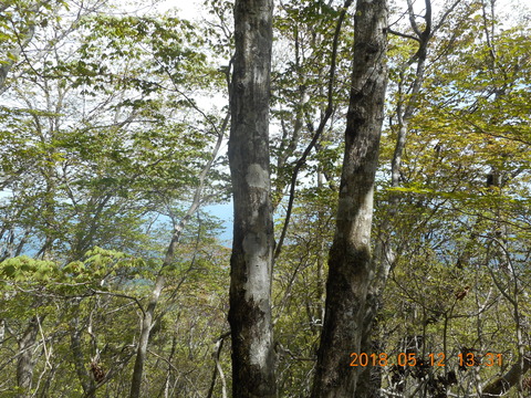 DSCN2877
