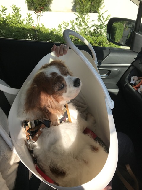 69FB75A4-D077-4205-B88B-AC1CD3AAA63F