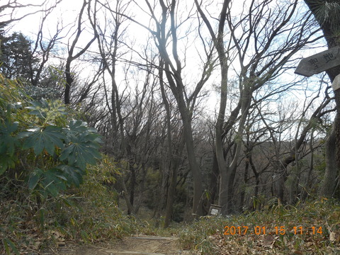 15早野から寺家 025