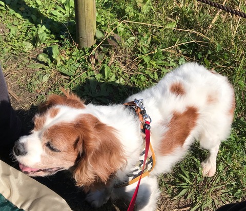 A1955116-B6C2-4AFD-9D69-60F897955D28