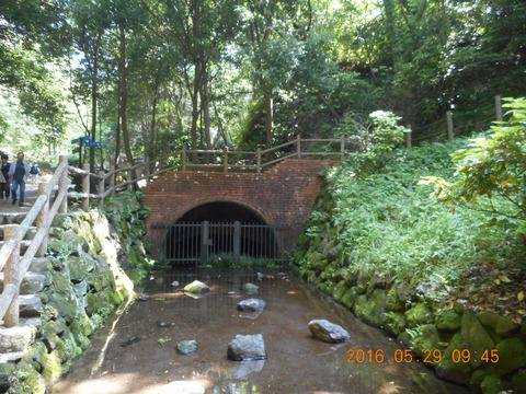 DSCN1225