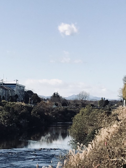 2B51A9D7-CEB7-496B-9D3E-7D4DC5DA965A