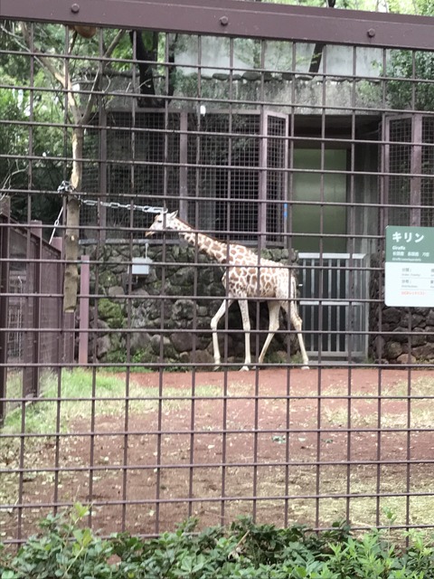 687D7CDA-D524-48F5-87FF-B70C7B3F0486