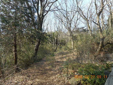 DSCN0762