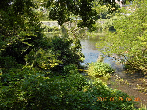 DSCN1220