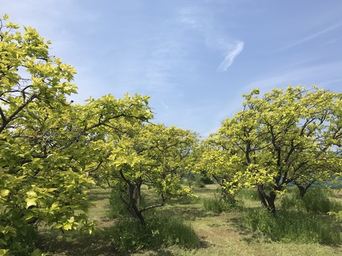 6206B1B4-9FF3-4992-AE6C-1DC87050DD06