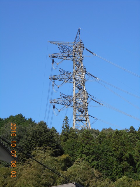 画像101奥高尾 008