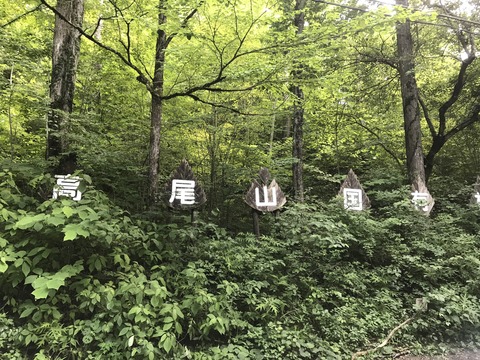 E51131E0-1FC6-45EF-A274-0A027FA2B63B