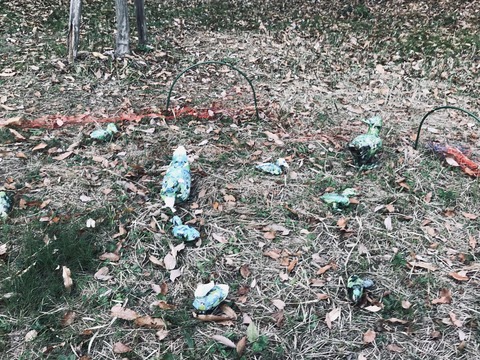 86BEF23F-57CA-4231-BCBC-428ED997832A