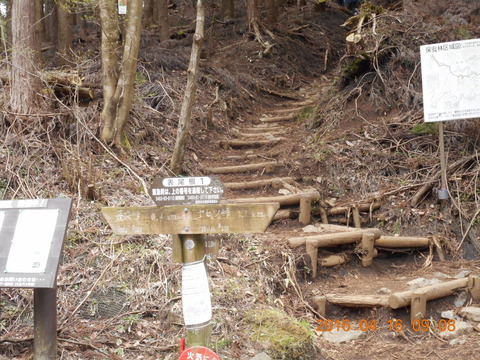 DSCN0958