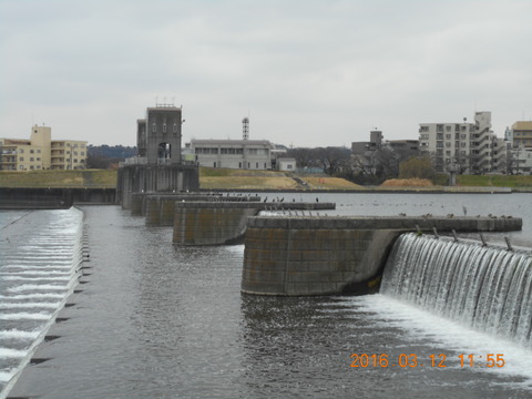 DSCN0862