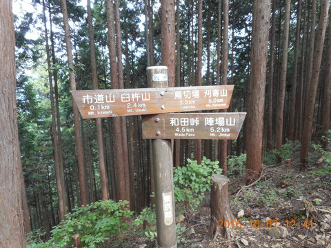 画像101奥高尾 039